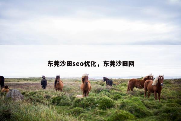东莞沙田seo优化，东莞沙田网