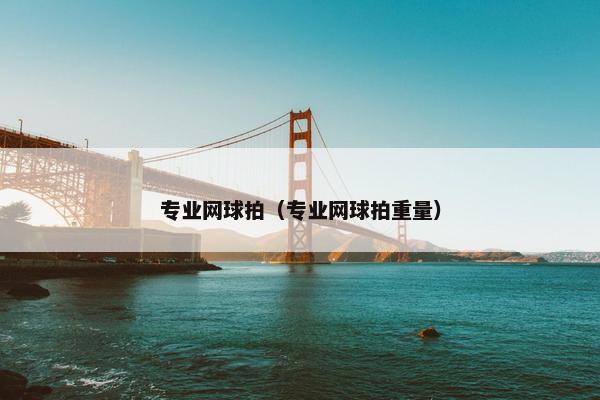 专业网球拍（专业网球拍重量）