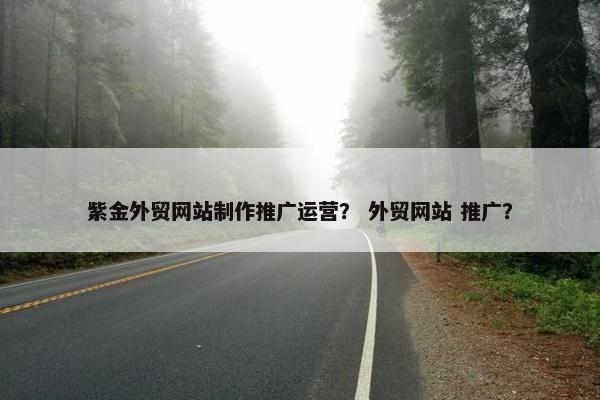 紫金外贸网站制作推广运营？ 外贸网站 推广？