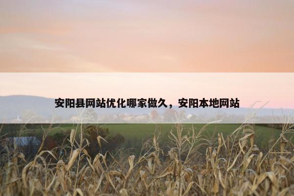安阳县网站优化哪家做久，安阳本地网站