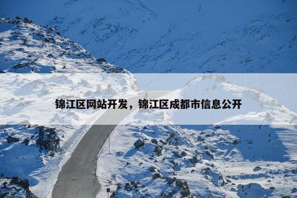 锦江区网站开发，锦江区成都市信息公开