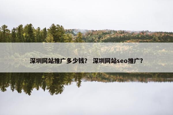 深圳网站推广多少钱？ 深圳网站seo推广？