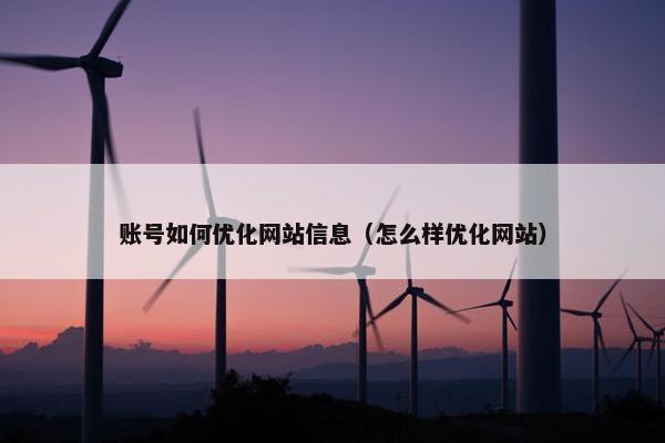 账号如何优化网站信息（怎么样优化网站）
