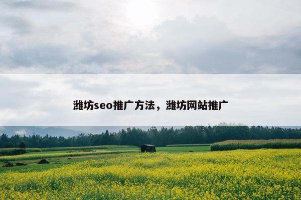 潍坊seo推广方法，潍坊网站推广