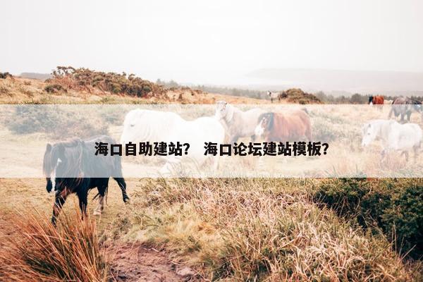 海口自助建站？ 海口论坛建站模板？