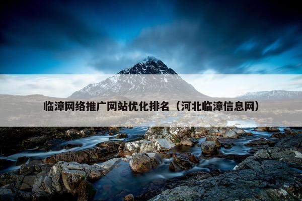 临漳网络推广网站优化排名（河北临漳信息网）