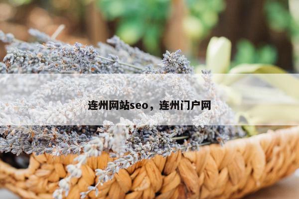连州网站seo，连州门户网
