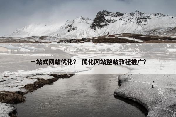 一站式网站优化？ 优化网站整站教程推广？
