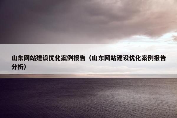 山东网站建设优化案例报告（山东网站建设优化案例报告分析）