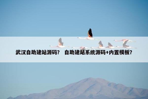武汉自助建站源码？ 自助建站系统源码+内置模板？