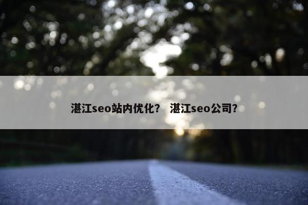 湛江seo站内优化？ 湛江seo公司？