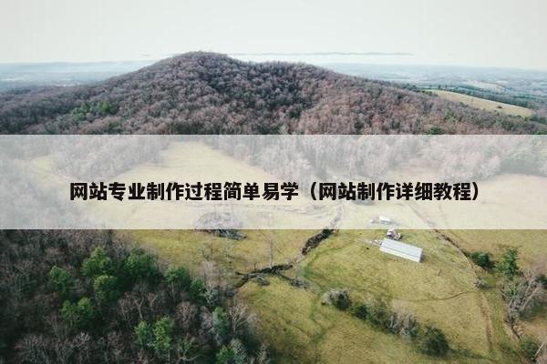 网站专业制作过程简单易学（网站制作详细教程）