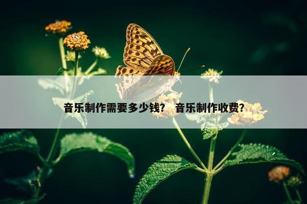 音乐制作需要多少钱？ 音乐制作收费？
