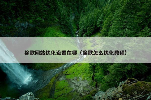 谷歌网站优化设置在哪（谷歌怎么优化教程）