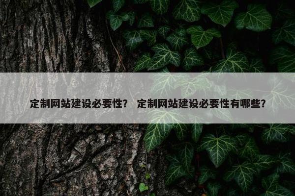 定制网站建设必要性？ 定制网站建设必要性有哪些？