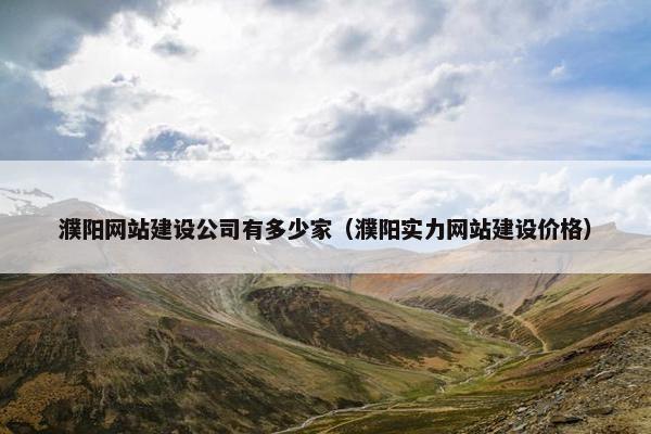 濮阳网站建设公司有多少家（濮阳实力网站建设价格）