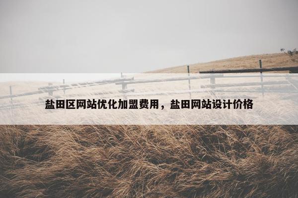 盐田区网站优化加盟费用，盐田网站设计价格