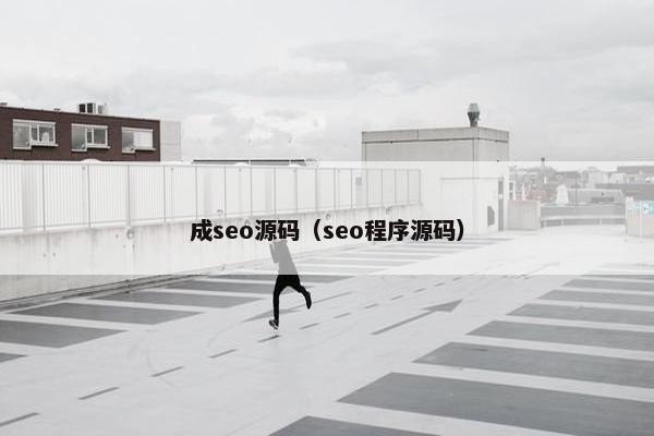 成seo源码（seo程序源码）