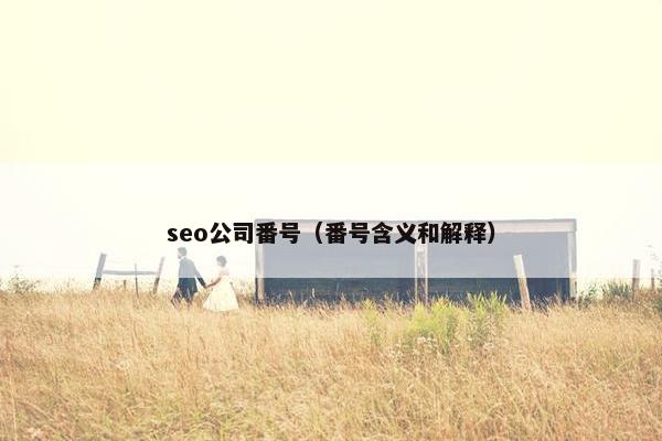 seo公司番号（番号含义和解释）