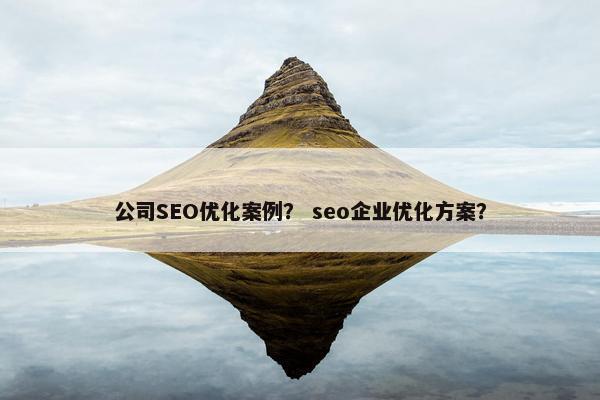 公司SEO优化案例？ seo企业优化方案？