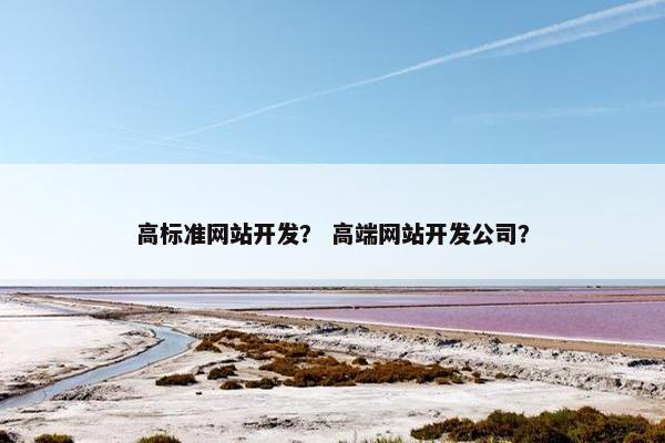 高标准网站开发？ 高端网站开发公司？