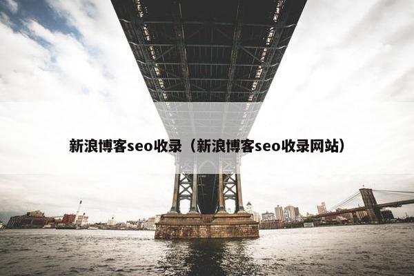 新浪博客seo收录（新浪博客seo收录网站）
