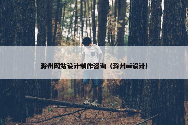 滁州网站设计制作咨询（滁州ui设计）