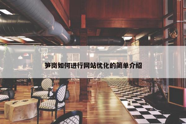 笋岗如何进行网站优化的简单介绍