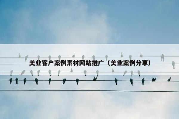 美业客户案例素材网站推广（美业案例分享）
