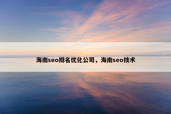 海南seo排名优化公司，海南seo技术