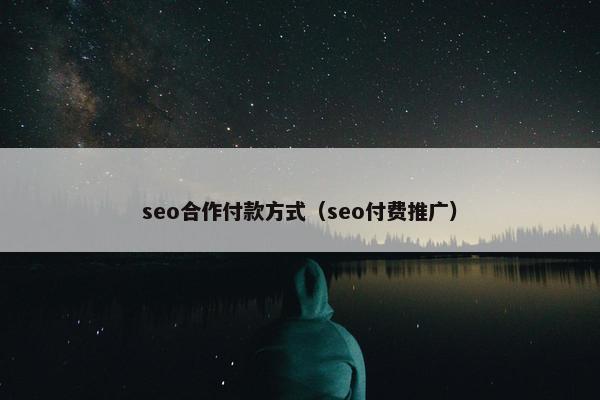 seo合作付款方式（seo付费推广）