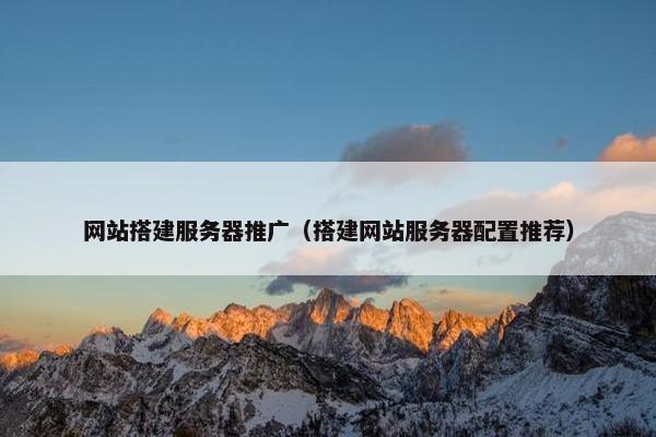 网站搭建服务器推广（搭建网站服务器配置推荐）