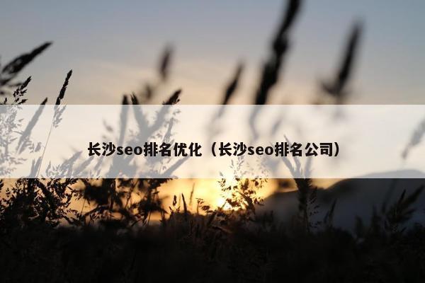 长沙seo排名优化（长沙seo排名公司）