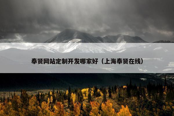 奉贤网站定制开发哪家好（上海奉贤在线）