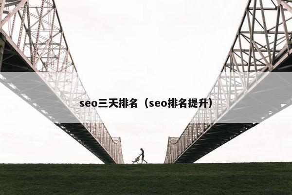 seo三天排名（seo排名提升）