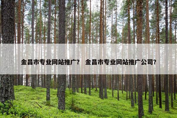 金昌市专业网站推广？ 金昌市专业网站推广公司？