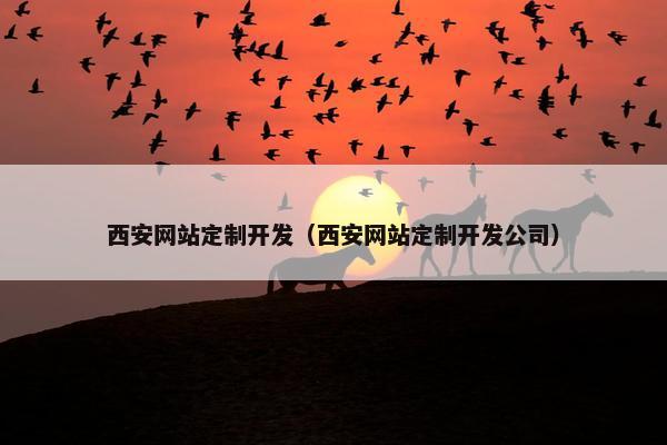 西安网站定制开发（西安网站定制开发公司）