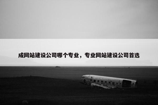 成网站建设公司哪个专业，专业网站建设公司首选