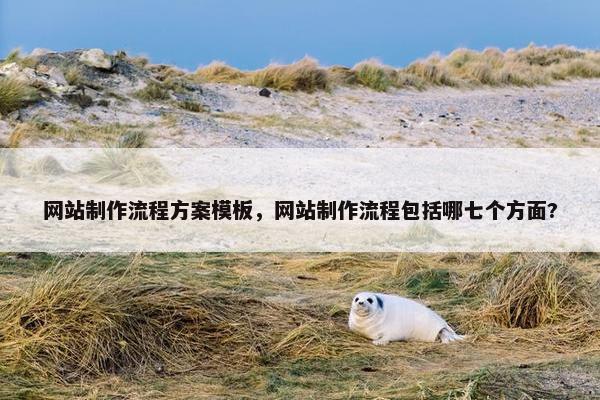 网站制作流程方案模板，网站制作流程包括哪七个方面?