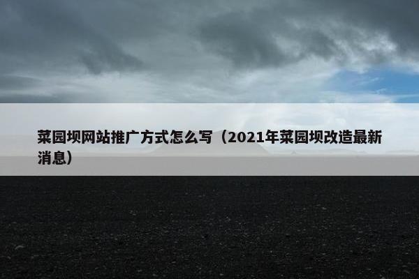 菜园坝网站推广方式怎么写（2021年菜园坝改造最新消息）