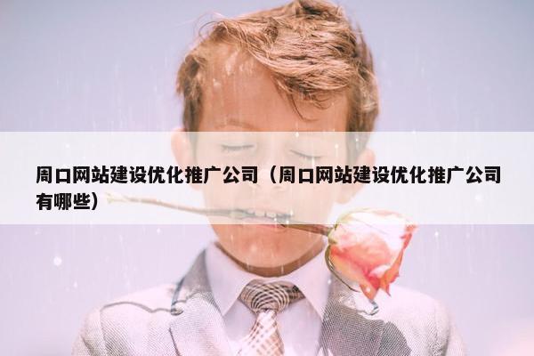 周口网站建设优化推广公司（周口网站建设优化推广公司有哪些）