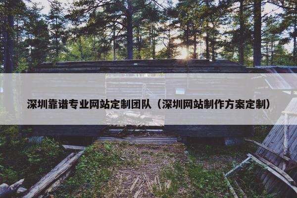 深圳靠谱专业网站定制团队（深圳网站制作方案定制）