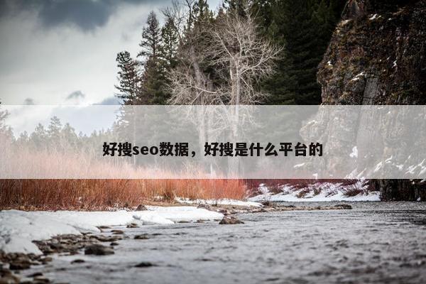 好搜seo数据，好搜是什么平台的