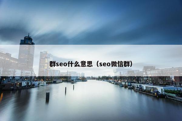 群seo什么意思（seo微信群）