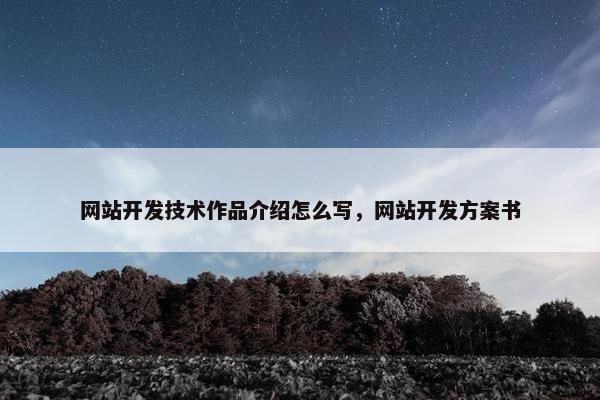 网站开发技术作品介绍怎么写，网站开发方案书