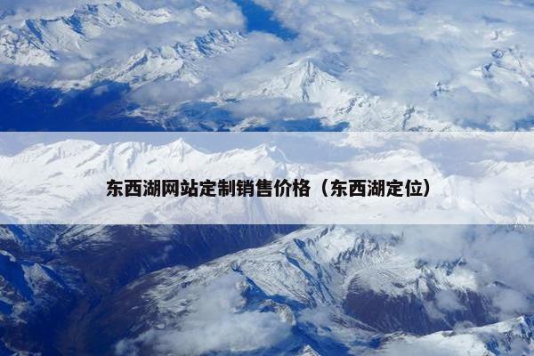 东西湖网站定制销售价格（东西湖定位）