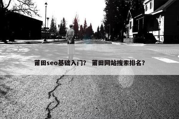 莆田seo基础入门？ 莆田网站搜索排名？