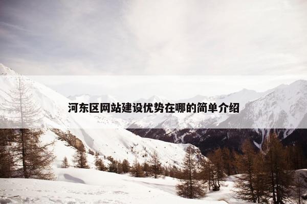 河东区网站建设优势在哪的简单介绍