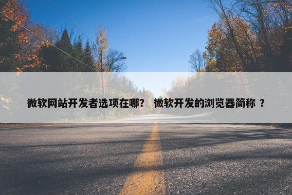 微软网站开发者选项在哪？ 微软开发的浏览器简称 ？