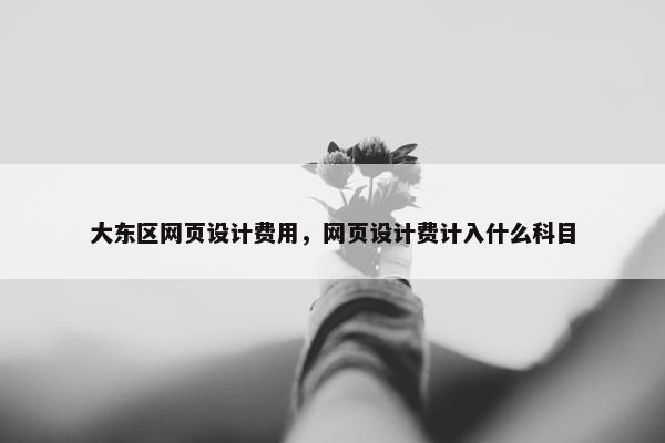 大东区网页设计费用，网页设计费计入什么科目